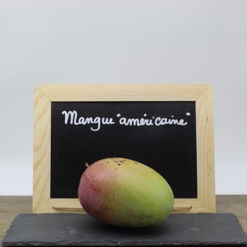 Mangue "américaine"  (~1kg)