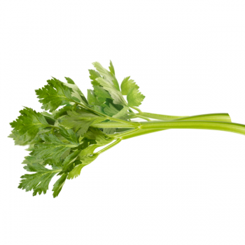 Céleri (bio)